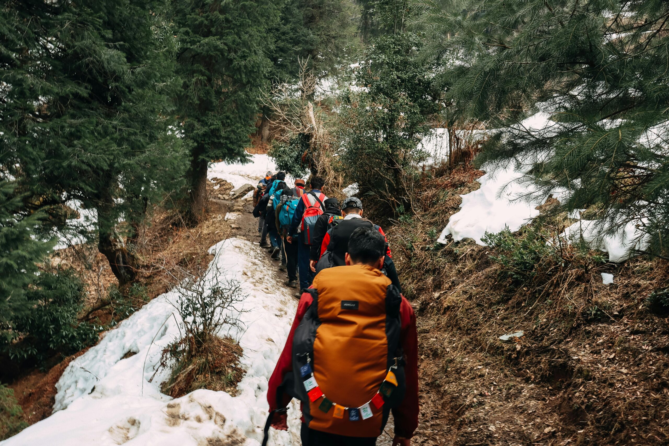 pexels-henlynndsouza-5426963