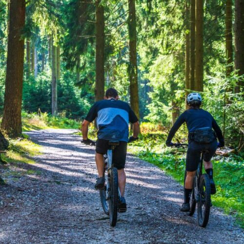 Ride through scenic landscapes and experience pure freedom.