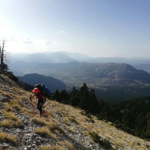 Wander through scenic landscapes and experience the beauty of the outdoors.