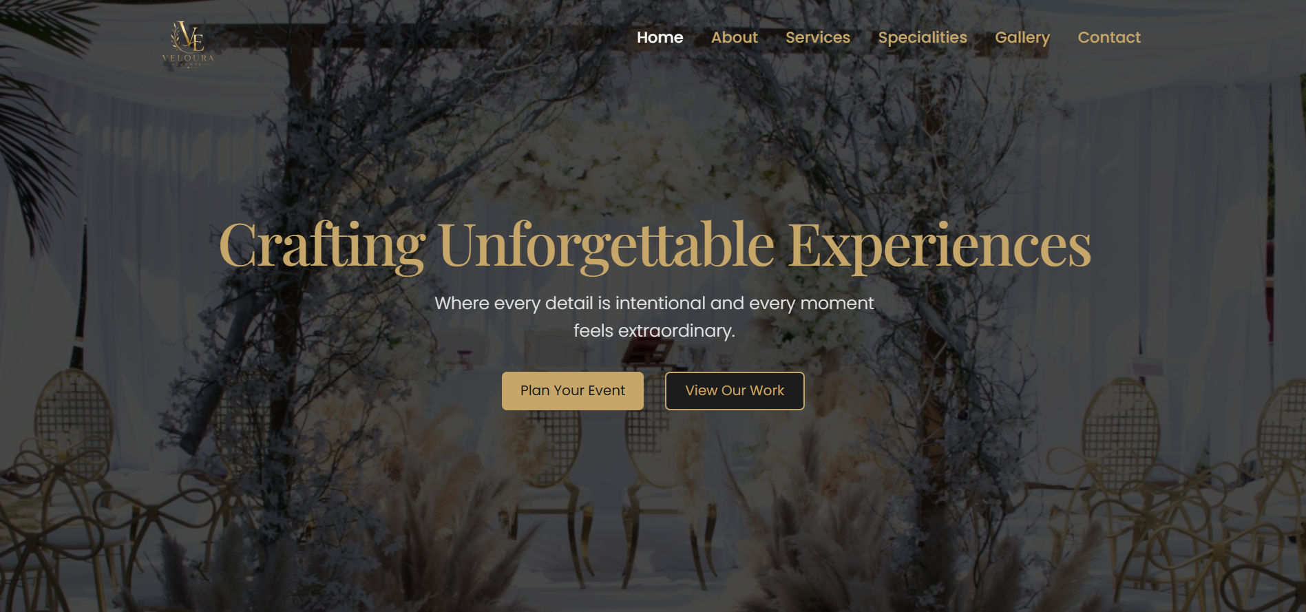 Website home page